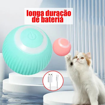 Bolinha elétrica para pets