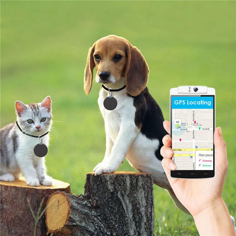 Mini GPS Pet