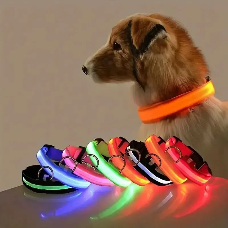 Coleira LED para Pets