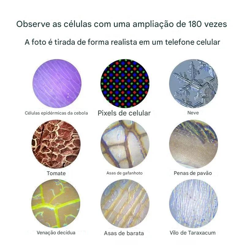 Microscópio Pequeno Cientista